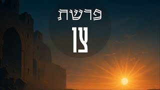 פרשת צו וליל הסדר: ההחלטיות שתשנה את חייך!