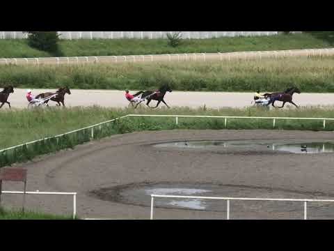 Trka "Kafe Počasna Tribina" 26.05.2019 Solvalino - Zoran Petrović