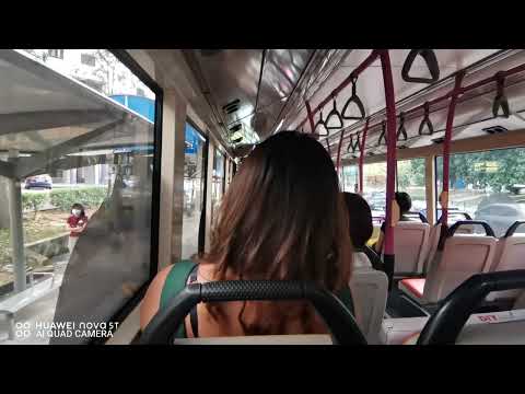 [SBST] SBS8640B On Service 163 - Scania K230UB Euro V Gemilang Batch 1