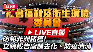 防範非洲豬瘟!立院報告廚餘去化、防疫清消