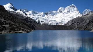 CLAVEL DORADO - GORRIÓN ANDINO