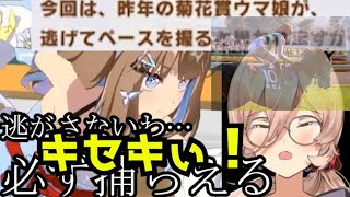 【キセキ】おニュイ、「昨年の菊花賞ウマ娘」登場に泣く【ウマ娘】【にじさんじ切り抜き】
