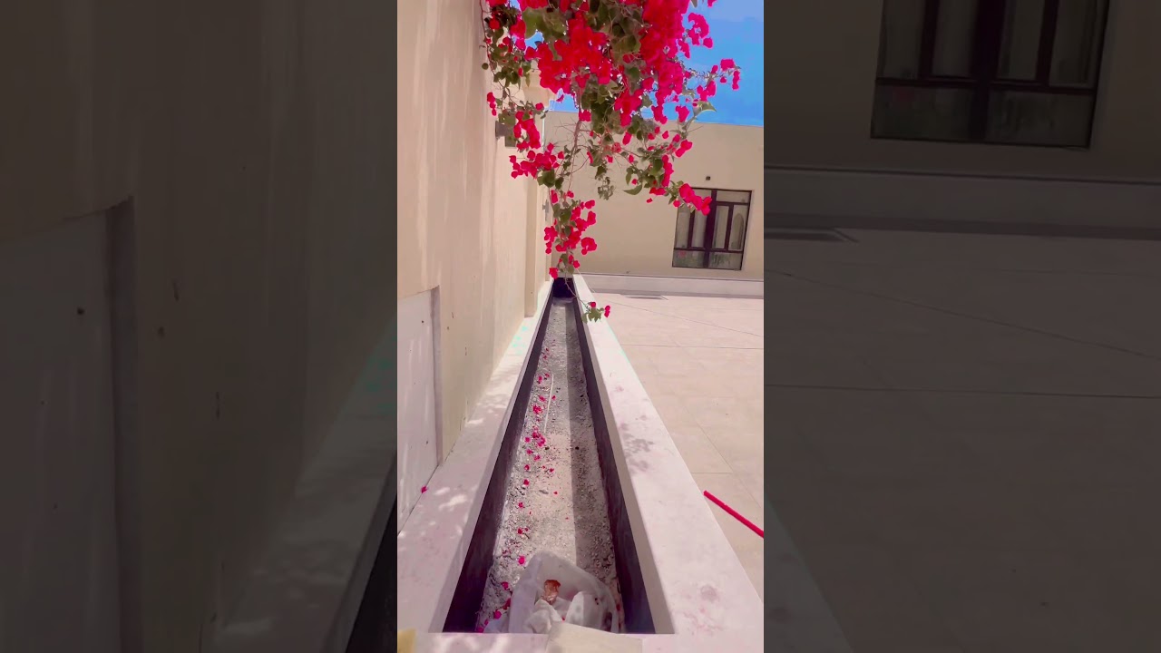 Transform Your Backyard Into a Dream Garden 🌿 | Easy DIY Garden Makeover!”