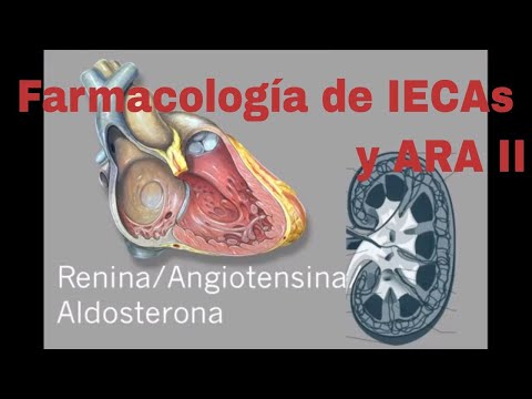 Pharmacology of losartan and other antihypertensive drugs of the ACEi and ARB  family