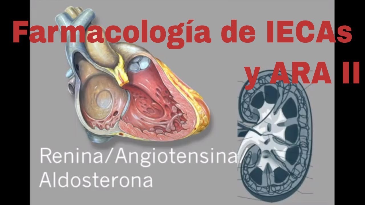 Pharmacology of losartan and other antihypertensive drugs of the ACEi and ARB  family