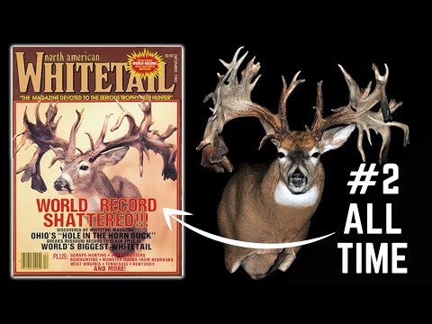 Der Hole in The Horn-Bock: Der zweituntypischste Bock aller Zeiten!