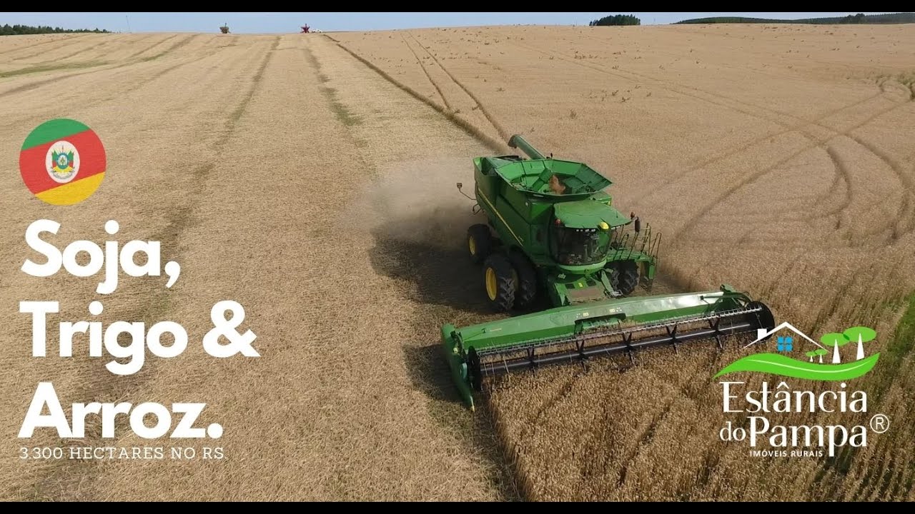 FAZENDA 24 KM DA BR TRIGO E SOJA NO RS COM 3300 HA