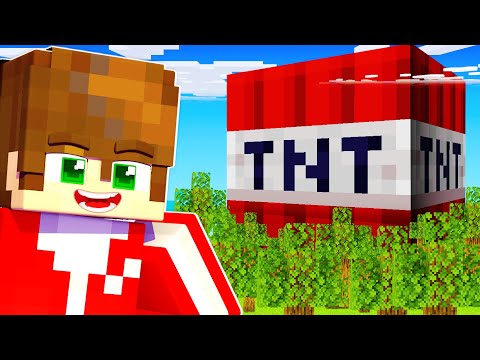 ΕΠΙΒΙΩΣΕ ΑΠΟ ΤΑ ΤΝΤ στο MINECRAFT;!