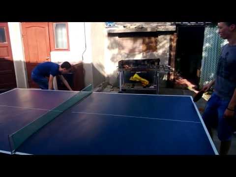 King of Craiovita in action