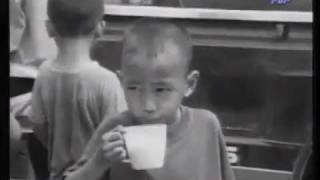 Stevie Wonder - Free