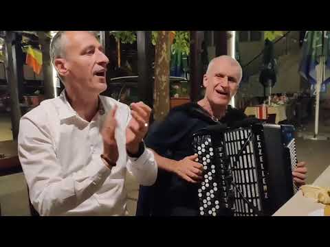 Cristi Stavre si Stelica Busu   Ah moi lilici