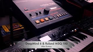 Video thumbnail for Behringer DeepMind 6 \\ Roland MSQ-100 by Alba Ecstasy