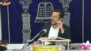 האם יחיד יכול לומר י"ג מידות? ¤ הרב משה אסרף ¤ ד' אלול תשפ"ה (28.8.2024) (מוסדות תורת דוד) - התמונה מוצגת ישירות מתוך אתר האינטרנט יוטיוב. זכויות היוצרים בתמונה שייכות ליוצרה. קישור קרדיט למקור התוכן נמצא בתוך דף הסרטון האם יחיד יכול לומר י"ג מידות? ¤ הרב משה אסרף ¤ ד' אלול תשפ"ה (28.8.2024) (מוסדות תורת דוד) - התמונה מוצגת ישירות מתוך אתר האינטרנט יוטיוב. זכויות היוצרים בתמונה שייכות ליוצרה. קישור קרדיט למקור התוכן נמצא בתוך דף הסרטון