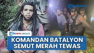 Komandan Batalyon Semut Merah KKB Tewas Ditembak Aparat, Pengamanan Yahukimo Diperketat