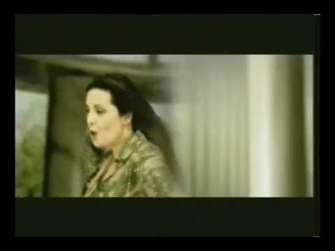 Dragana Mirkovic i Divlji kesten - Srcu nije lako - (Official Video)