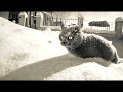 Flaszkoskłat ft. Rytmus, Rudy 103 - Na Spidzie