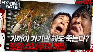 Download lagu [미스터리 노트] 가까이 가기만 해도 죽는다? 황금 소나무의 비밀｜#미스터리노트 MBC961025방송 mp3