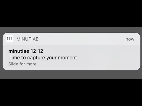 minutiae: Real Life