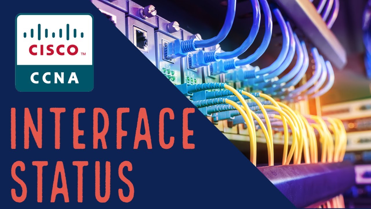 Unleashing the Magic: Cisco CCNA Interface Status Check
