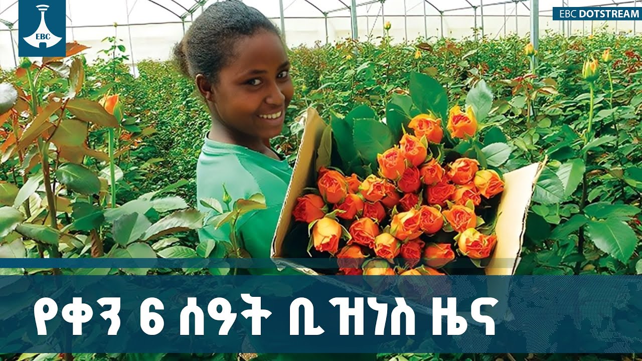 የቀን 6 ሰዓት ቢዝነስ ዜና … ኅዳር 02/2018 ዓ.ም ETV | EBC | EBCDOTSTREAM