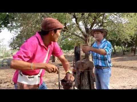 TIO PELLO Y SUZUKI - ESO HAY QUE VERLO