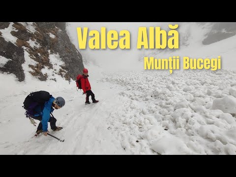 Valea Albă | Munții Bucegi | Traseu nefinalizat | Avalanșă