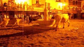 preview picture of video 'Fiestas 2010 Sot de Ferrer'