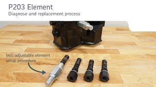 P203 Pumping element - Troubleshoot and replacement procedure