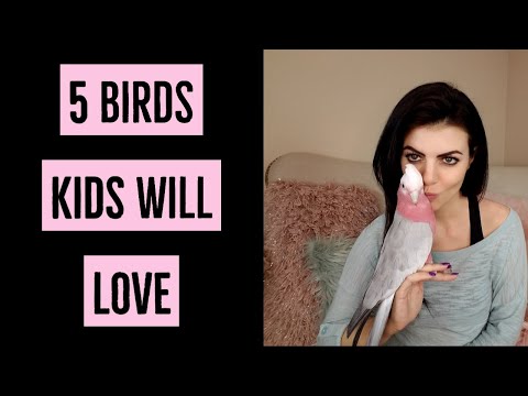 5 Pet Birds Great for Kids | PARRONT TIP TUESDAY Video