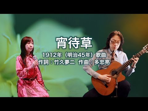 宵待草