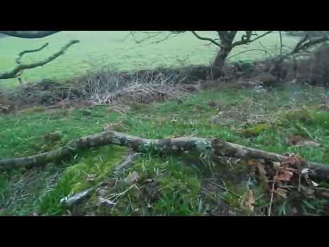 Land Pennance Rd Lanner Cornwall