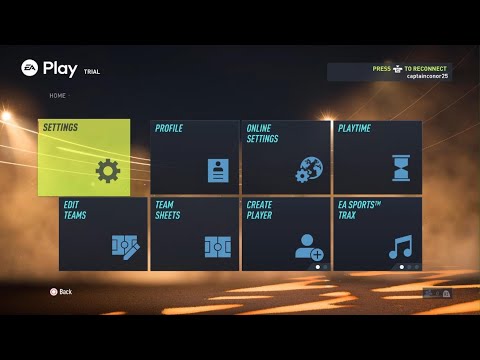 Video preview
