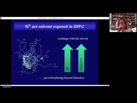 CCPN Conference 2020 - Isabella Felli's talk