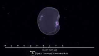 ZZ TOP- Somebody Else Been Shakin Your Tree