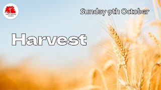 Sunday 9th October