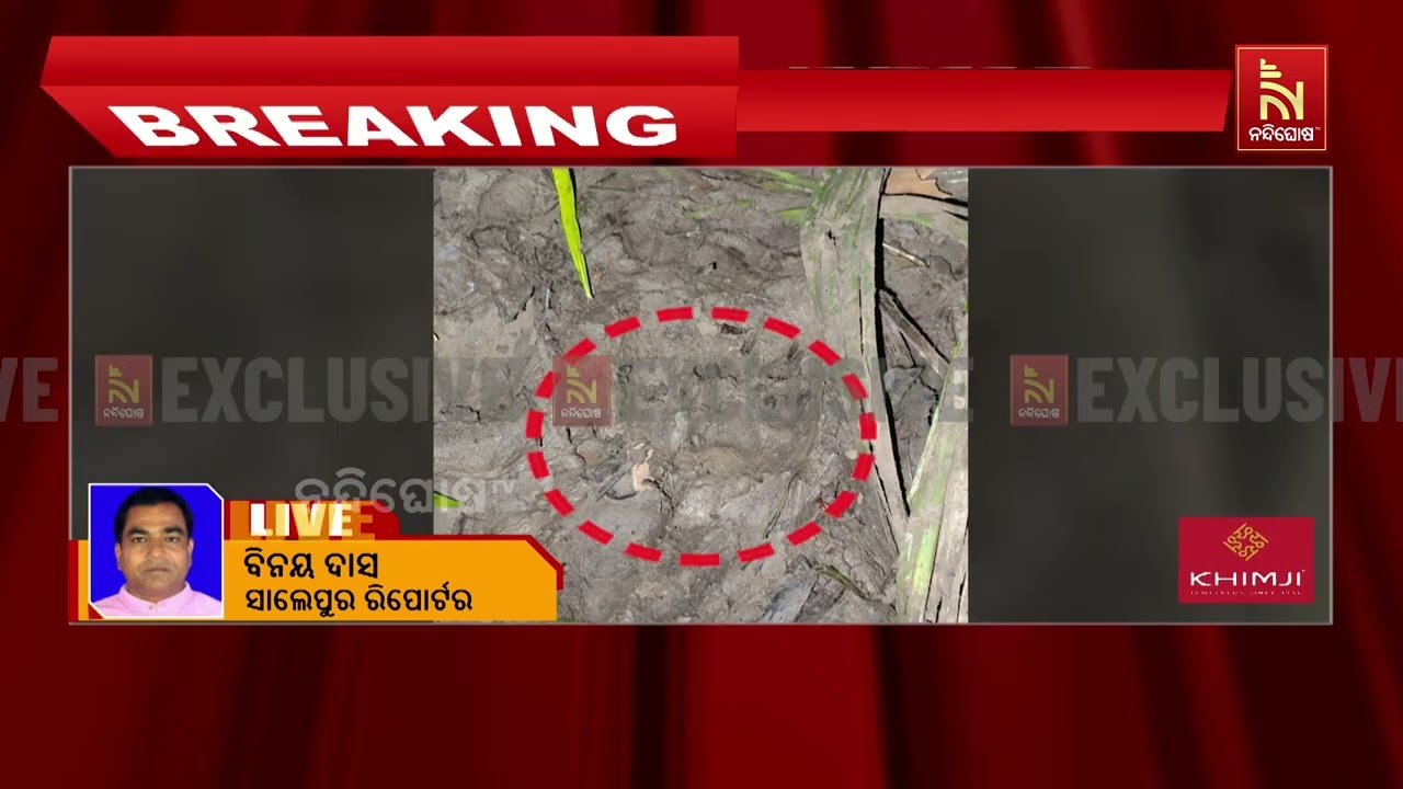 କଟକ ନିଶ୍ଚିନ୍ତକୋଇଲି ଅଞ୍ଚଳରେ ବାଘ ଆତଙ୍କ ; CCTV କ୍ୟାମେରାରେ ?