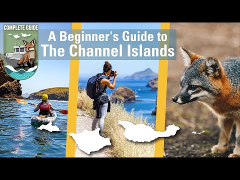 A Beginner's Guide to the Channel Islands National Park 🌊🍃🦊