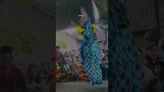 Download lagu Story Wa Barongan mp3