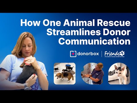 How this Animal Rescue Saves Volunteers' Time & Streamlines Donor Communication
