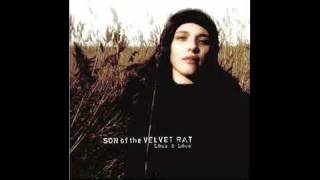 Son Of The Velvet Rat - Fall With Me