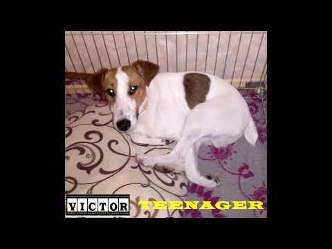 HITMAKER [dj/singer] - TEENAGER (Official audio 2018)