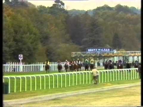 1990 Krug Diadem Stakes