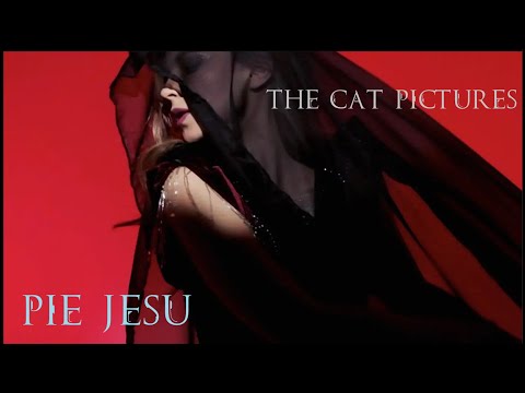The Cat Pictures (feat.  Fox Lima of Enigma) -  Pie Jesu