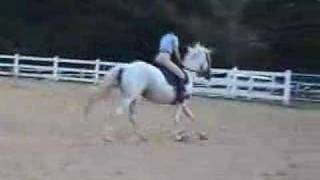 Silver Sage: Jumping the moon