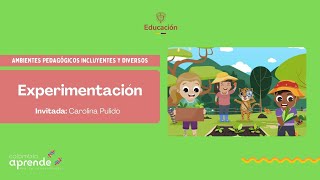 Experimentación - Ambientes Pedagógicos Incluyentes y Diversos