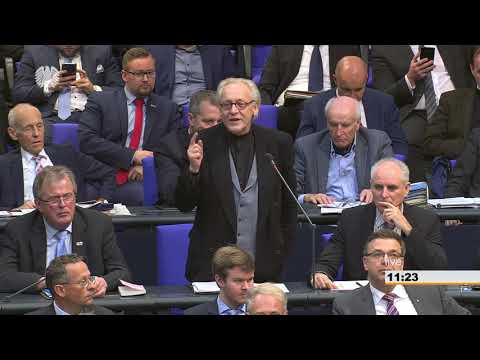 Frank Steffel: Global Compact for Migration [Bundestag 08.11.2018]