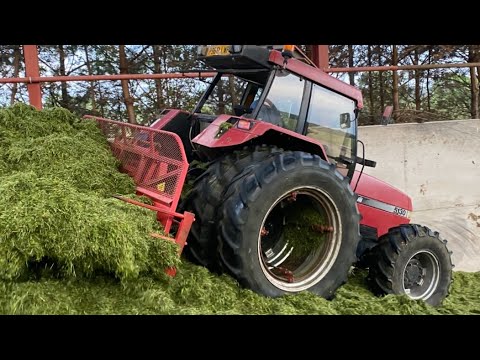 Cumbrian Silage 25’ All hands on deck! Classic DB, Case 5130 & NH 7840 join forces with NH/ MF team