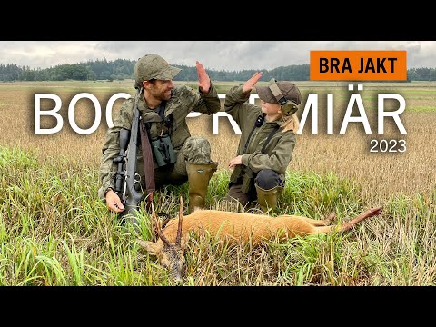 BUCK HUNTING IN SWEDEN