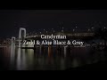 Candyman Zedd Aloe Blacc Grey 歌詞動画