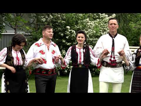 Gheorghe Sorea - In gradina la mandra